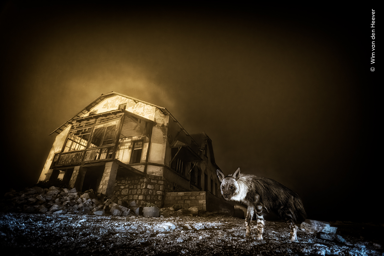 Wildlife Photographer of the Year at the Natural History Museum