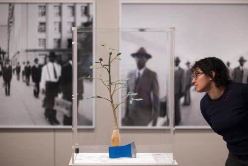Installation View by David Parry for the V&A