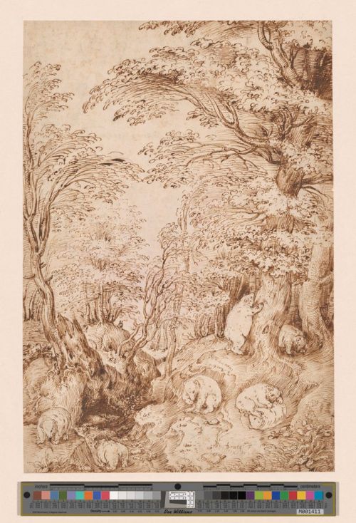 Woodland scene, Pieter Bruegel the Elder, 1540-1569
