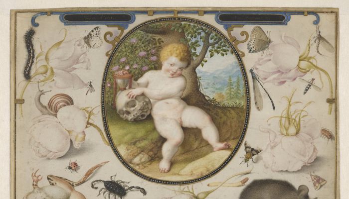 Early Netherlandish Drawings – British Museum Guide 2026