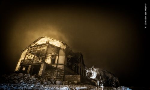 Wildlife Photographer of the Year at the Natural History Museum