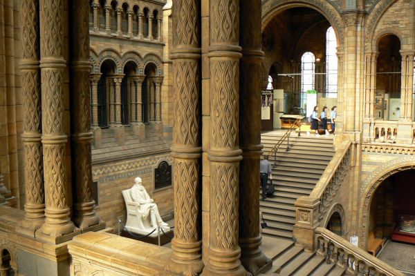 Interior view with monumental staircase and statue at the Natural History Museum