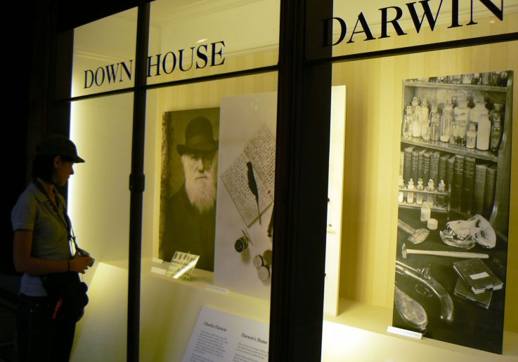 Private tour guide explaining exhibits to visitors at the Natural History Museum