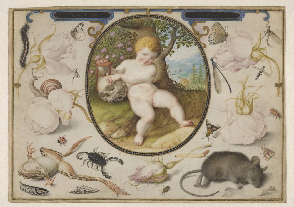 Early Netherlandish Drawings exhibition