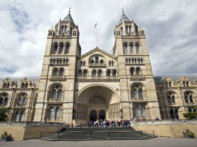 Explore the Wonders of Nature: A Comprehensive Guide to London's Natural History Museum