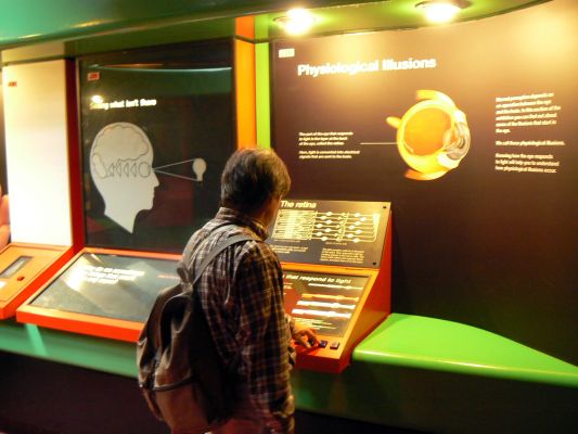 Personalized tour in the Natural History Museum's galleries