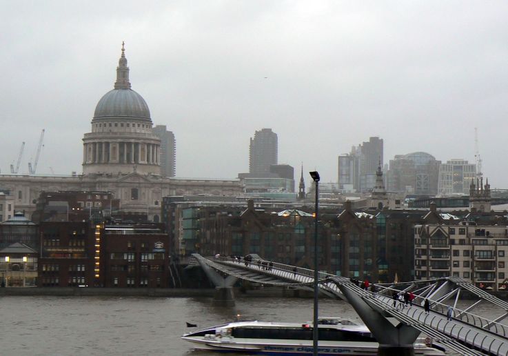 Stunning Thames view from the Tate Modern balcony during a cultural tour