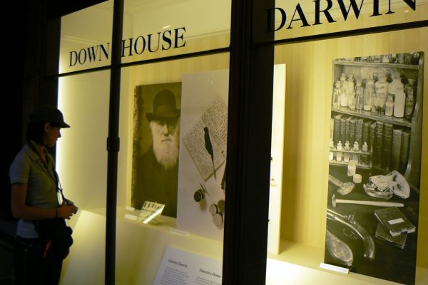 Exhibition dedicated to Charles Darwin at the Natural History Museum