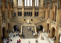 Historic building of the Natural History Museum in South Kensington, London