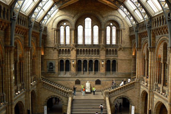 Main staircase and grand Victorian hall of the Natural History Museum in London