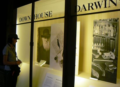 Private tour guide explaining exhibits to visitors at the Natural History Museum