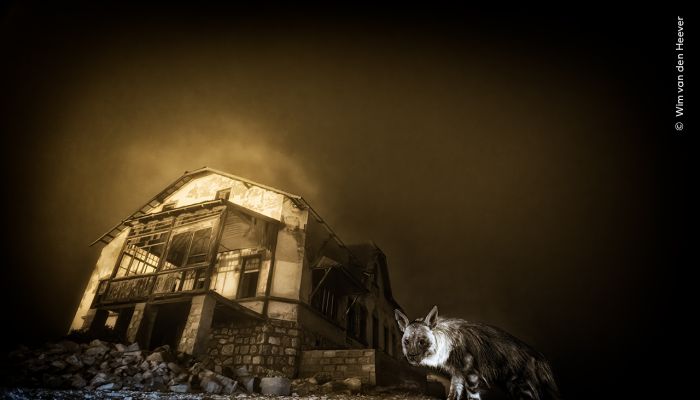 Wildlife Photographer of the Year at the Natural History Museum