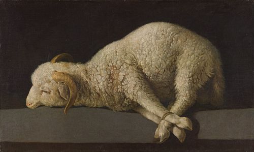 Francisco de Zurbarán, Agnus Dei, 1635 – 1640.