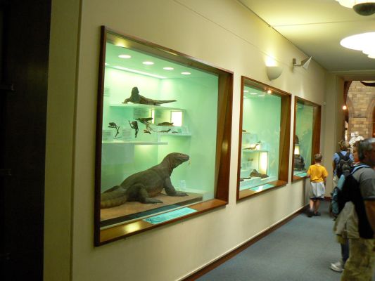 Private tour through the museum's collection halls