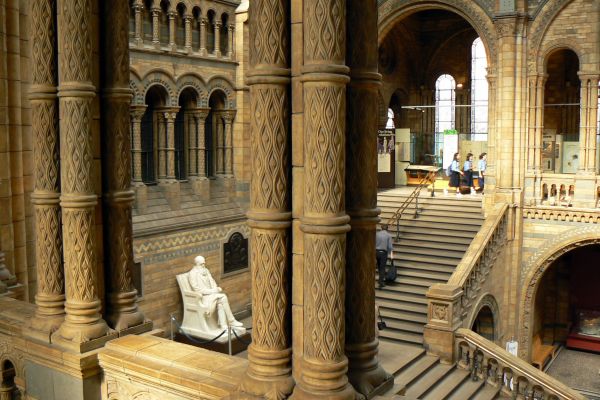 Interior view with monumental staircase and statue at the Natural History Museum