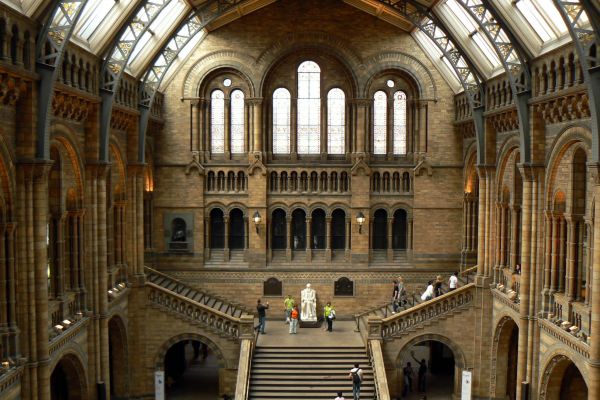 Main staircase and grand Victorian hall of the Natural History Museum in London