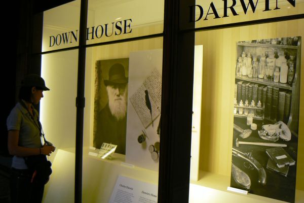Exhibition dedicated to Charles Darwin at the Natural History Museum