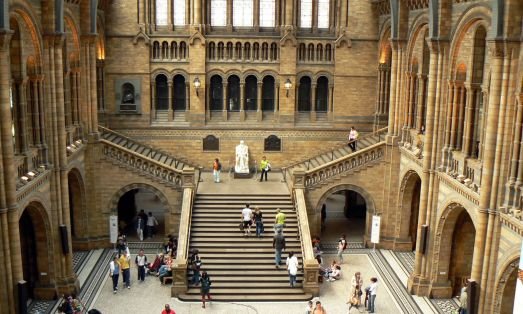 Natural History Museum Tour: Dinosaurs, Fossils & Exclusive Guide