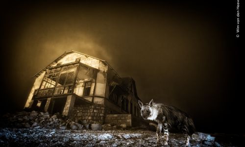 Wildlife Photographer of the Year 2025 at the Natural History Museum