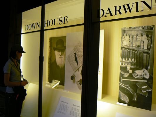 Private tour guide explaining exhibits to visitors at the Natural History Museum